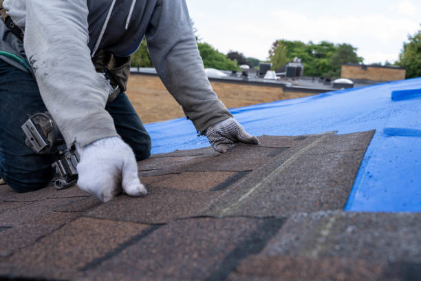 Best Roof Gutter Cleaning  in Trinity, NC