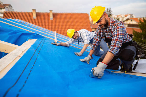 Professional Roofing Contractor in Trinity, NC