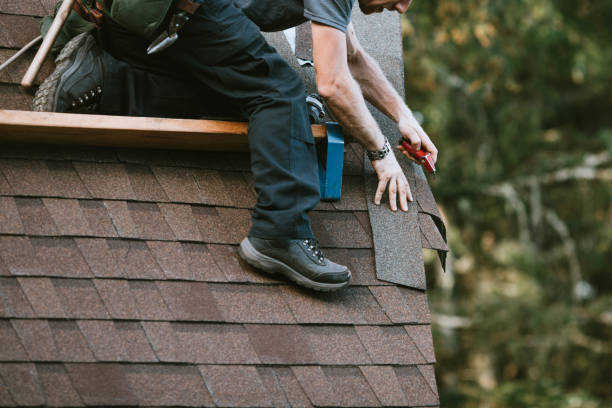 Roof Gutter Cleaning in Trinity, NC